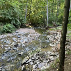 Scott's Run Nature Preserve - Follow the path along the river