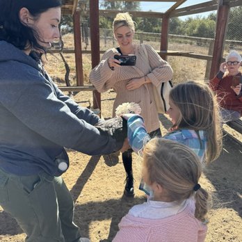 Zaca Creek Ranch - Kali showing us the chickens. - Ranches Near Me Zaca Creek Ranch - Kali showing us the chickens. - Ranches Near Me
