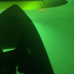 Glass Bottom Tours