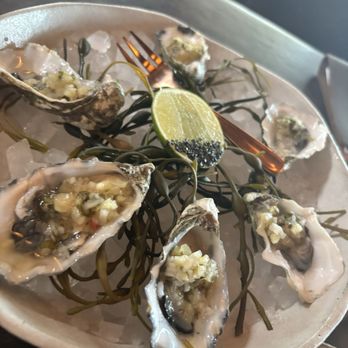 Toro Scottsdale - Half Dozen Oysters* - Latin American Near Me - Scottsdale, Arizona Toro Scottsdale - Half Dozen Oysters* - Latin American Near Me - Scottsdale, Arizona