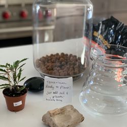 Windowsill - house plant boutique - Trying something new!!!
