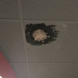 The mold right outside our apartment for 3 weeks.