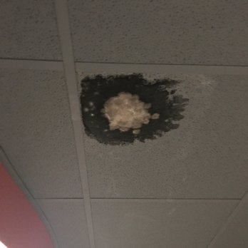 CitySouth - The mold right outside our apartment for 3 weeks. - Apartments Near Me - San Mateo, California