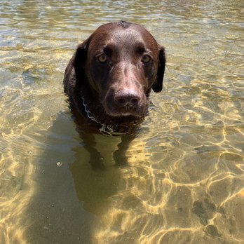 Kiva Beach - First time in the water - Beaches Near Me - South Lake Tahoe, California Kiva Beach - First time in the water - Beaches Near Me - South Lake Tahoe, California