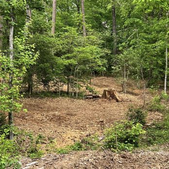 Fosters Forestry Mulching and Excavation - Tree Services Near Me - Dahlonega, Georgia Fosters Forestry Mulching and Excavation - Tree Services Near Me - Dahlonega, Georgia