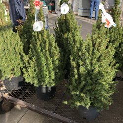 Lowe's Home Improvement