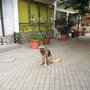 Photo of Park Hotel Arcobaleno