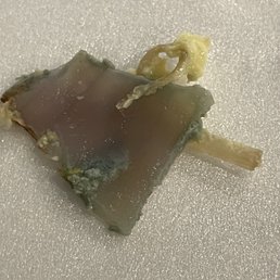 MOLD!!!!! MOLD!!!!!