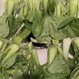 ? Baby BokChoi? ? Baby BokChoi?