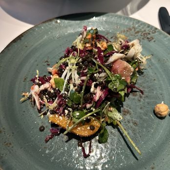 Zucca - Black lentil salad - Italian Near Me - Coral Gables, Florida