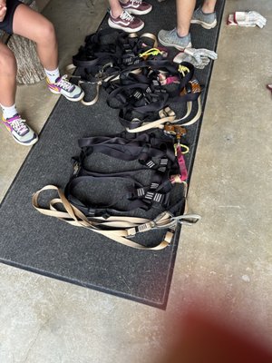 Hocking Hills Canopy Tours by null