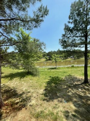 Yogi Bear’s Jellystone Park™ Campground Asheboro NC by null