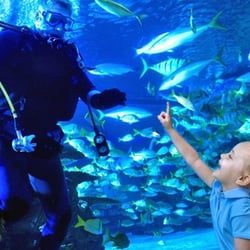 Aquarium Restaurant
