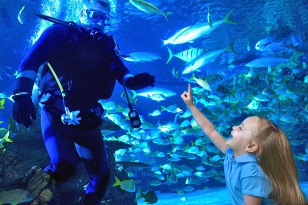 Aquarium Restaurant