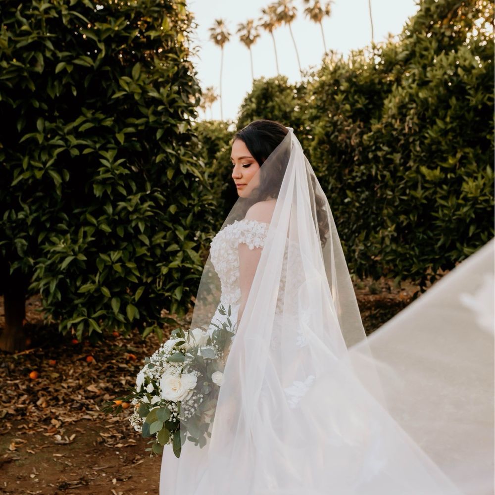 Luttrellstown Castle « The Irish Aesthete, image size:1000x1000