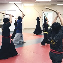 Taekwondo In Action - Gumdo