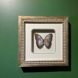 Butterfly Painting