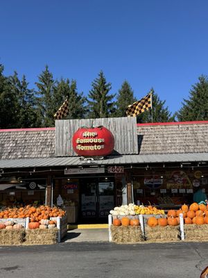 The Famous Tomato by null