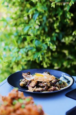 Blackbird Tavern by null