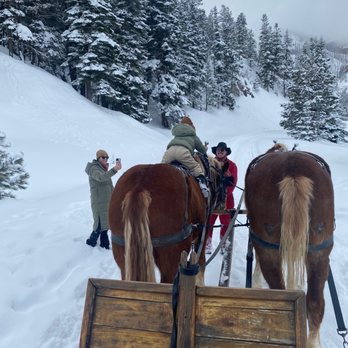 Bears Ranch - Our lil Bear getting to sit on ""Waffle"-- first time on a horse! - Horseback Riding Near Me - Durango, Colorado