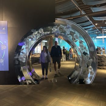 Seattle Aquarium - Aquariums Near Me - Seattle, Washington