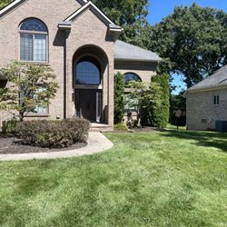 Village Tree Service - Trimmed 4 trees