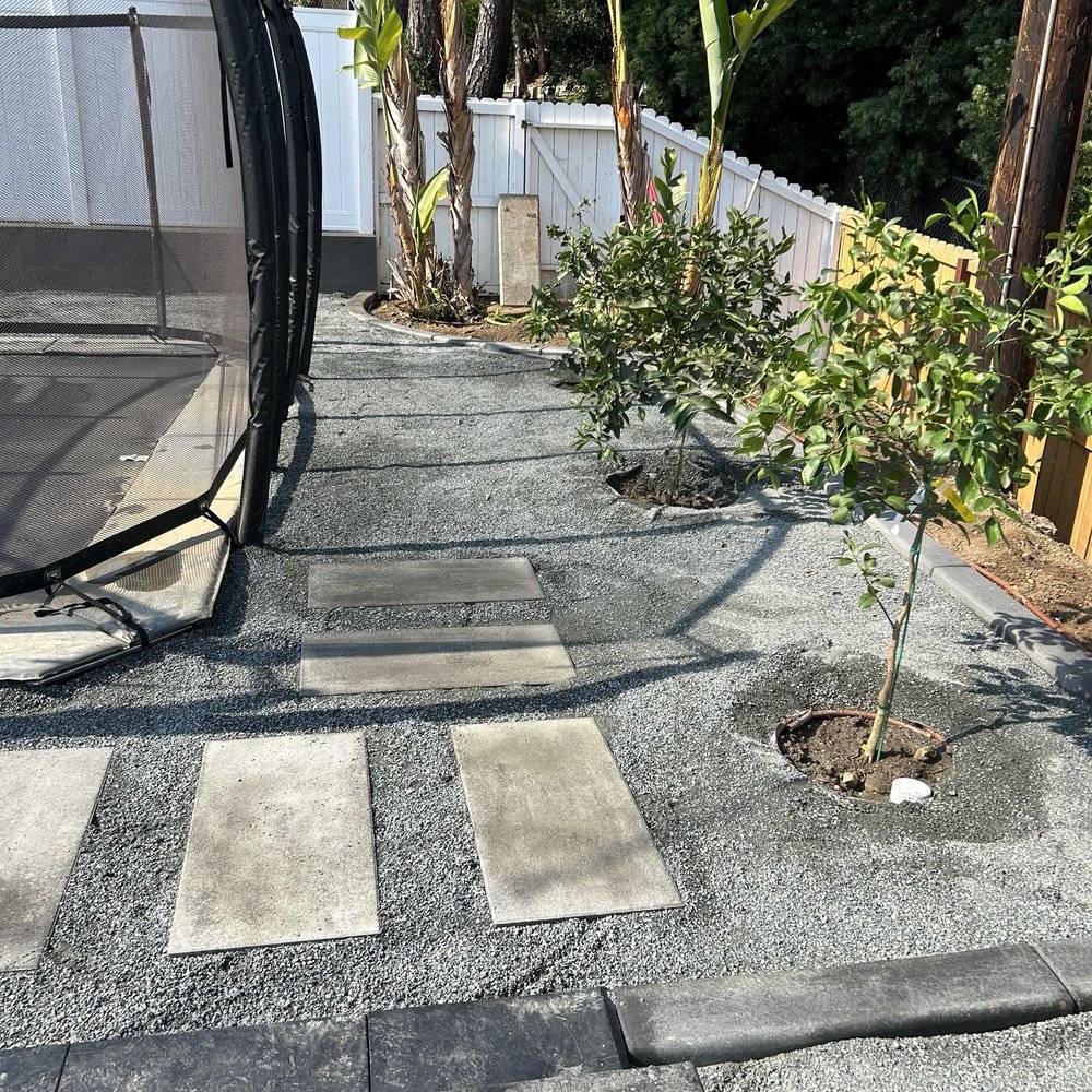 Stepping stones, DG & citrus trees