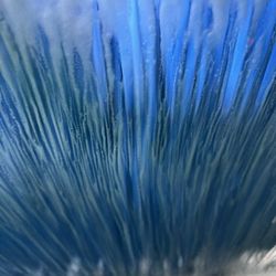 Pelican Pointe Carwash