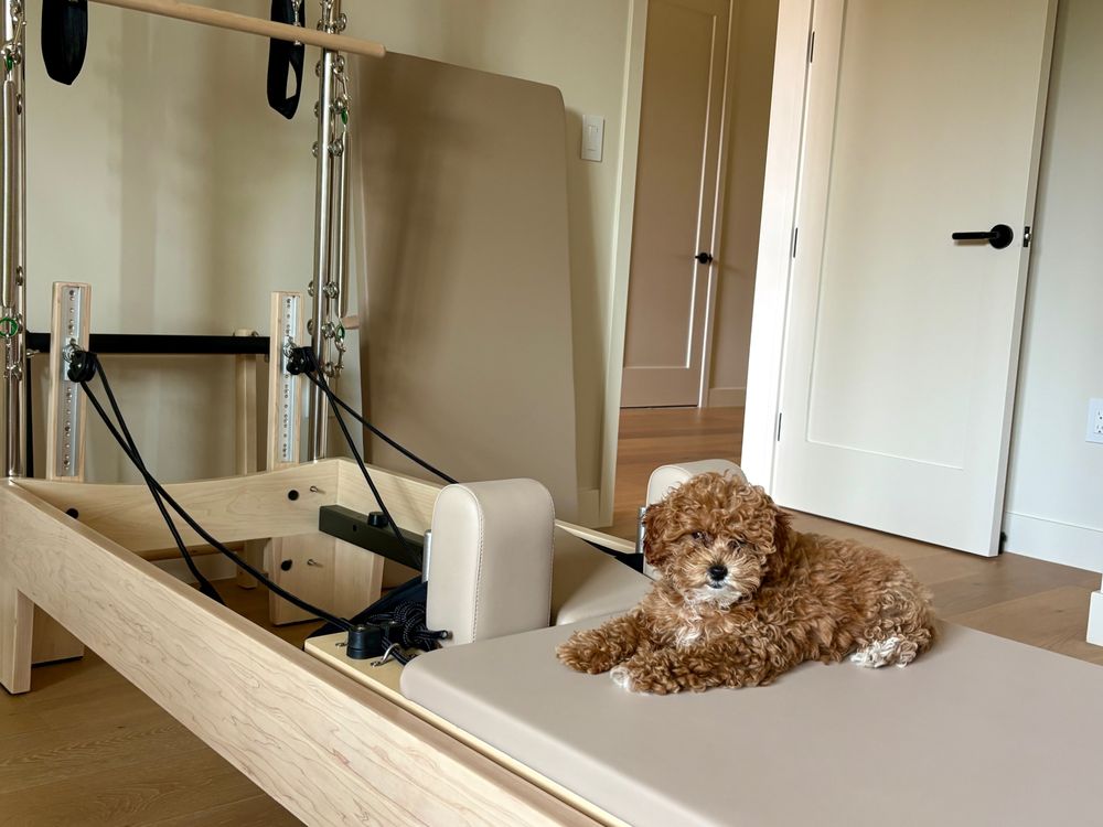 Costa Coast Pilates Logo