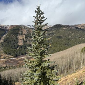 Leadville Railroad - Tours Near Me - Leadville, Colorado Leadville Railroad - Tours Near Me - Leadville, Colorado