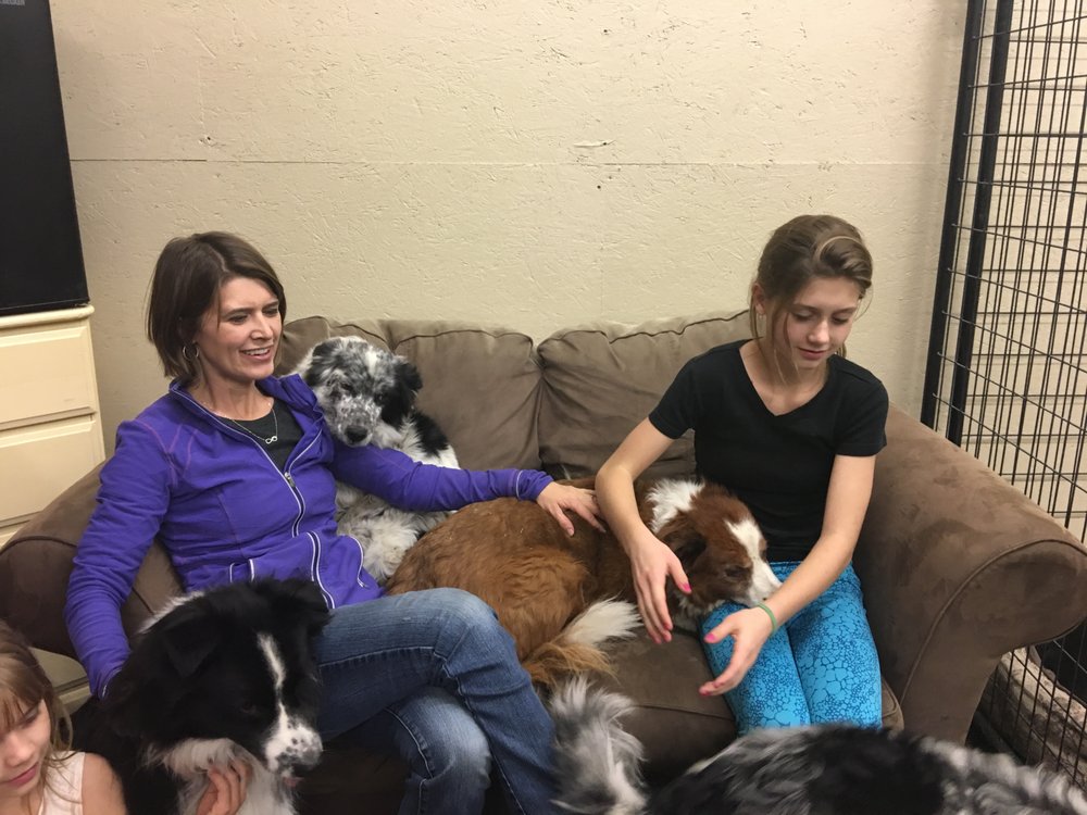 WHEATLAND BOARDING KENNEL 3405 E Watt Rd, Spangle, Washington Pet