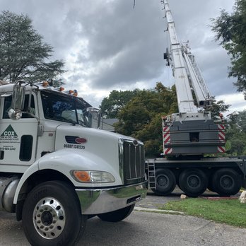 Cox & Company Inc Tree and Landscape Services - Large tree removal - Landscaping Near Me - Penn Valley, Pennsylvania Cox & Company Inc Tree and Landscape Services - Large tree removal - Landscaping Near Me - Penn Valley, Pennsylvania