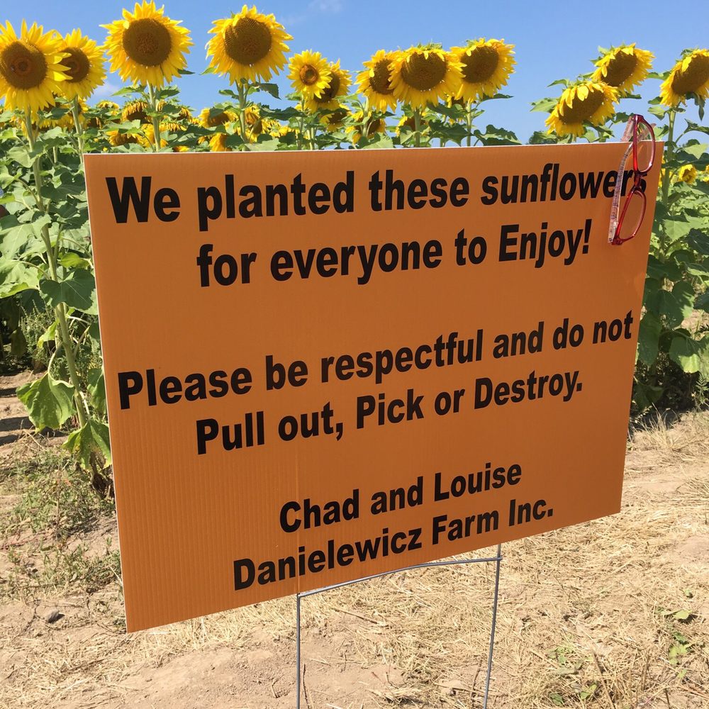 Danielewicz Farm - Thanks, Danielewicz Farm! - Farms Near Me - Sanborn, New York Danielewicz Farm - Thanks, Danielewicz Farm! - Farms Near Me - Sanborn, New York