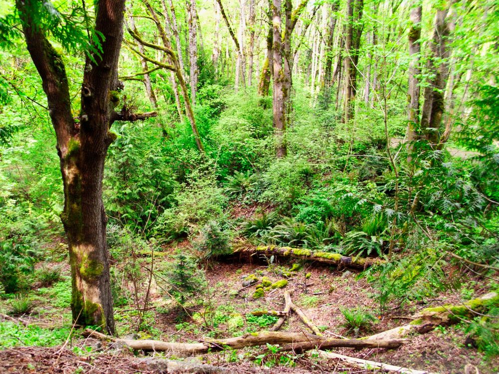 INTERLAKEN PARK Updated April 2024 11 Photos & 14 Reviews 2451