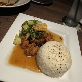 Yard House - Maui Pineapple Chicken - Bars Near Me - Tampa, Florida Yard House - Maui Pineapple Chicken - Bars Near Me - Tampa, Florida