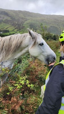 Vagabond Tours of Ireland by null