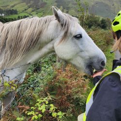 Vagabond Adventure Tours Ireland - Ebike add on