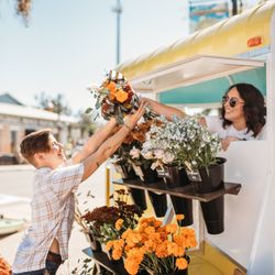 Late Bloomer Flower Shoppe