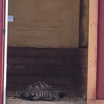Babby Farms - Zoos Near Me - Caldwell, Idaho