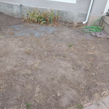 All States Lawn & Pest - Before - Pest Control Near Me - Draper, Utah