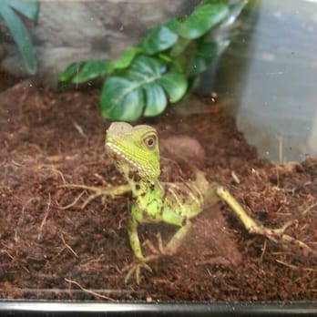 Petco - Pet Stores Near Me - New York, New York Petco - Pet Stores Near Me - New York, New York