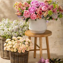 Winston Flowers