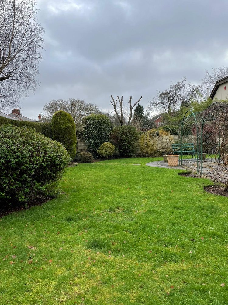 GREENLEAF TREE & PROPERTY SERVICES Updated August 2024 10 Photos