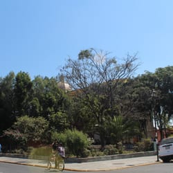 Templo de Nuestra Señora de la Merced - Vista del atrio, la iglesia está escondida tras los árboles