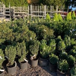 Stafford Ridge Nursery