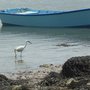 Photo of Ile de Saint Cado