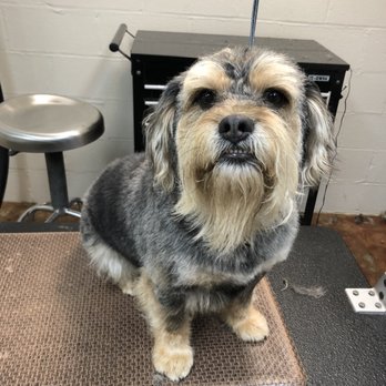 Almost Home Pet Resort - Pet Boarding Near Me - Temple, Texas