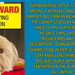 $1000 REWARD for identifying information!!