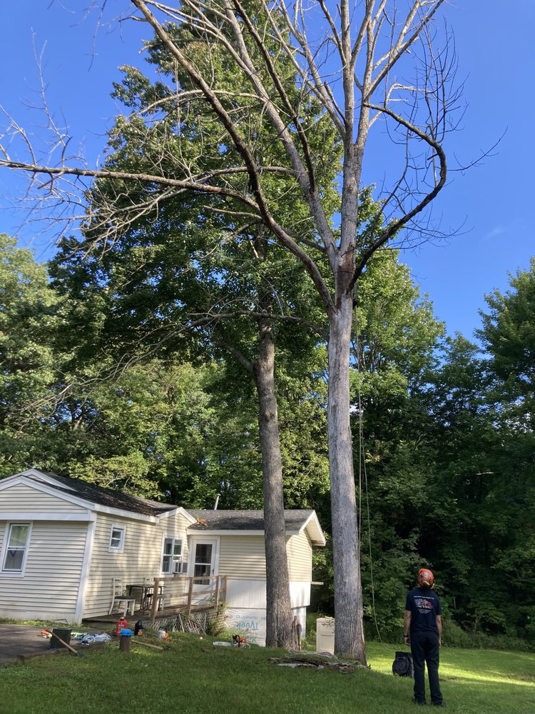 Slide of LAQ'S Property Management