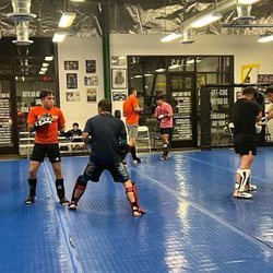 Zingano BJJ Brighton - Muay Thai students paired up and practicing striking techniques on blue mats inside a gym, wearing shin guards and gloves, wi...